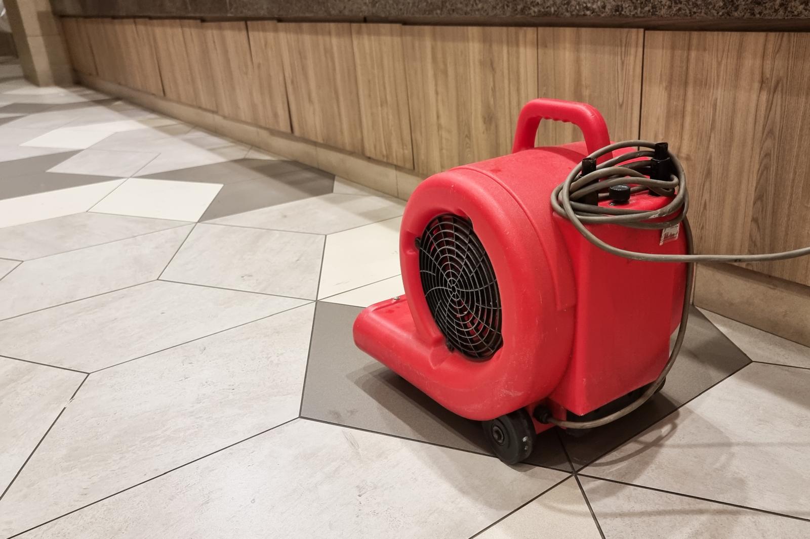 Water Damage Mitigation: Why Fast Drying Matters