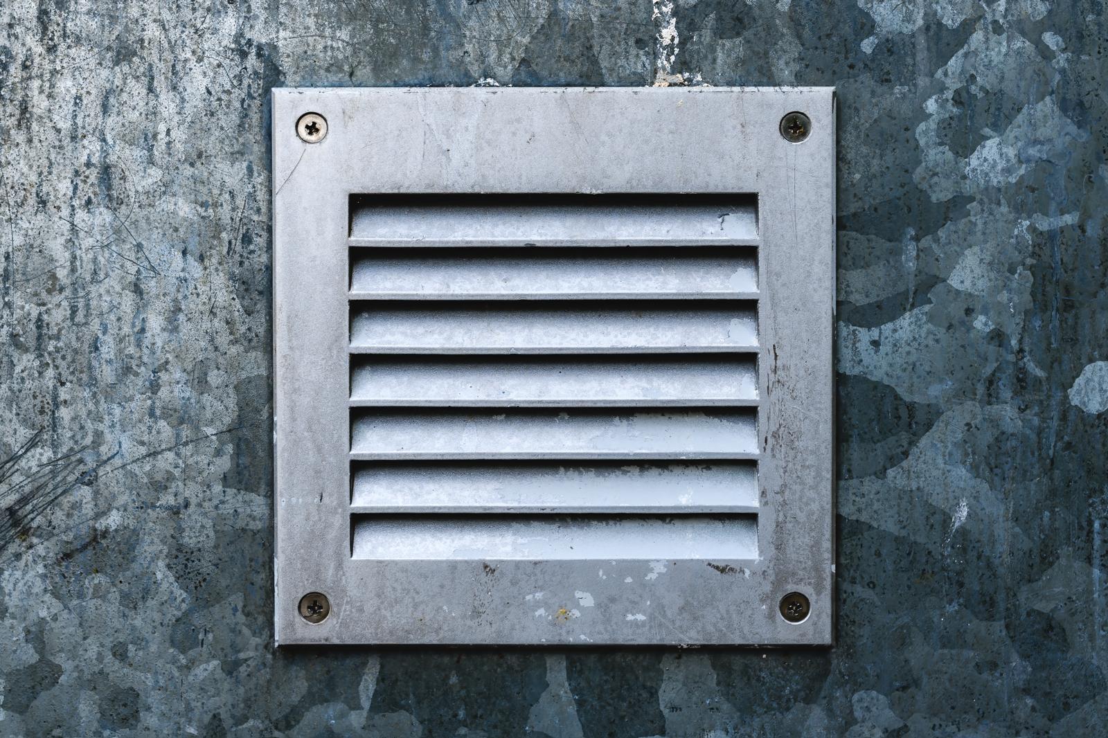 Why a Dryer Vent Bird Cover Is Important for Your Home or Business