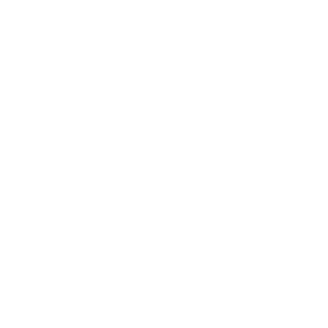 eagleplumbingservices